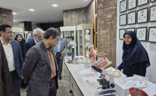روایت تصویری بازدید معاون حقوق بشر وزارت دادگستری از مجتمع آفرینش هرمزگان